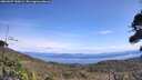./images/calvert/fitz-hugh-hecate/20260927/fitz-hugh-hecate20260927_130001M.jpg