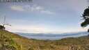 ./images/calvert/fitz-hugh-hecate/20260927/fitz-hugh-hecate20260927_131501M.jpg