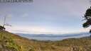 ./images/calvert/fitz-hugh-hecate/20260927/fitz-hugh-hecate20260927_132001M.jpg