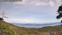 ./images/calvert/fitz-hugh-hecate/20260927/fitz-hugh-hecate20260927_133001M.jpg