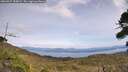 ./images/calvert/fitz-hugh-hecate/20260927/fitz-hugh-hecate20260927_134001M.jpg