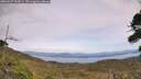 ./images/calvert/fitz-hugh-hecate/20260927/fitz-hugh-hecate20260927_135001M.jpg