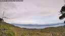 ./images/calvert/fitz-hugh-hecate/20260927/fitz-hugh-hecate20260927_135501M.jpg