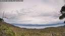 ./images/calvert/fitz-hugh-hecate/20260927/fitz-hugh-hecate20260927_143501M.jpg