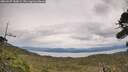 ./images/calvert/fitz-hugh-hecate/20260927/fitz-hugh-hecate20260927_144002M.jpg