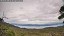 ./images/calvert/fitz-hugh-hecate/20260927/fitz-hugh-hecate20260927_144501M.jpg
