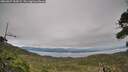 ./images/calvert/fitz-hugh-hecate/20260927/fitz-hugh-hecate20260927_154501M.jpg
