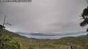 ./images/calvert/fitz-hugh-hecate/20260927/fitz-hugh-hecate20260927_155001M.jpg