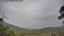 ./images/calvert/fitz-hugh-hecate/20260927/fitz-hugh-hecate20260927_160001M.jpg
