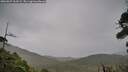 ./images/calvert/fitz-hugh-hecate/20260927/fitz-hugh-hecate20260927_163502M.jpg