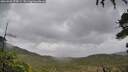 ./images/calvert/fitz-hugh-hecate/20260928/fitz-hugh-hecate20260928_075001M.jpg