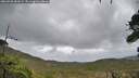 ./images/calvert/fitz-hugh-hecate/20260928/fitz-hugh-hecate20260928_081001M.jpg