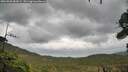 ./images/calvert/fitz-hugh-hecate/20260928/fitz-hugh-hecate20260928_082001M.jpg