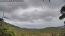 ./images/calvert/fitz-hugh-hecate/20260928/fitz-hugh-hecate20260928_084001M.jpg