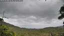./images/calvert/fitz-hugh-hecate/20260928/fitz-hugh-hecate20260928_084501M.jpg