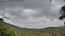 ./images/calvert/fitz-hugh-hecate/20260928/fitz-hugh-hecate20260928_085501M.jpg