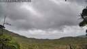 ./images/calvert/fitz-hugh-hecate/20260928/fitz-hugh-hecate20260928_091502M.jpg