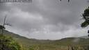 ./images/calvert/fitz-hugh-hecate/20260928/fitz-hugh-hecate20260928_095001M.jpg
