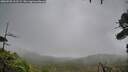 ./images/calvert/fitz-hugh-hecate/20260928/fitz-hugh-hecate20260928_111502M.jpg