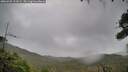./images/calvert/fitz-hugh-hecate/20260928/fitz-hugh-hecate20260928_115002M.jpg