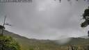 ./images/calvert/fitz-hugh-hecate/20260928/fitz-hugh-hecate20260928_115501M.jpg