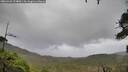 ./images/calvert/fitz-hugh-hecate/20260928/fitz-hugh-hecate20260928_124001M.jpg