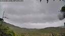 ./images/calvert/fitz-hugh-hecate/20260928/fitz-hugh-hecate20260928_130001M.jpg