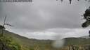 ./images/calvert/fitz-hugh-hecate/20260928/fitz-hugh-hecate20260928_134001M.jpg