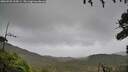 ./images/calvert/fitz-hugh-hecate/20260928/fitz-hugh-hecate20260928_135001M.jpg