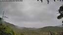 ./images/calvert/fitz-hugh-hecate/20260928/fitz-hugh-hecate20260928_141001M.jpg