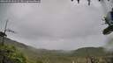 ./images/calvert/fitz-hugh-hecate/20260928/fitz-hugh-hecate20260928_141501M.jpg