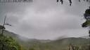 ./images/calvert/fitz-hugh-hecate/20260928/fitz-hugh-hecate20260928_144002M.jpg