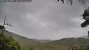 ./images/calvert/fitz-hugh-hecate/20260928/fitz-hugh-hecate20260928_152001M.jpg