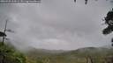 ./images/calvert/fitz-hugh-hecate/20260928/fitz-hugh-hecate20260928_163002M.jpg