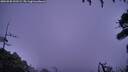 ./images/calvert/fitz-hugh-hecate/20260928/fitz-hugh-hecate20260928_192501M.jpg
