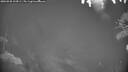 ./images/calvert/fitz-hugh-hecate/20260928/fitz-hugh-hecate20260928_194501M.jpg