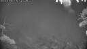 ./images/calvert/fitz-hugh-hecate/20260928/fitz-hugh-hecate20260928_195001M.jpg