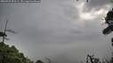 ./images/calvert/fitz-hugh-hecate/20260929/fitz-hugh-hecate20260929_093501M.jpg