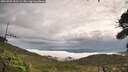 ./images/calvert/fitz-hugh-hecate/20260929/fitz-hugh-hecate20260929_100501M.jpg