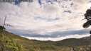./images/calvert/fitz-hugh-hecate/20260929/fitz-hugh-hecate20260929_103001M.jpg
