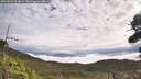 ./images/calvert/fitz-hugh-hecate/20260929/fitz-hugh-hecate20260929_104001M.jpg
