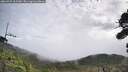 ./images/calvert/fitz-hugh-hecate/20260929/fitz-hugh-hecate20260929_105501M.jpg