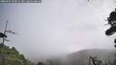 ./images/calvert/fitz-hugh-hecate/20260929/fitz-hugh-hecate20260929_110001M.jpg