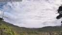 ./images/calvert/fitz-hugh-hecate/20260929/fitz-hugh-hecate20260929_111001M.jpg