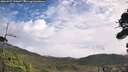 ./images/calvert/fitz-hugh-hecate/20260929/fitz-hugh-hecate20260929_112001M.jpg
