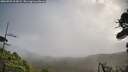 ./images/calvert/fitz-hugh-hecate/20260929/fitz-hugh-hecate20260929_113002M.jpg