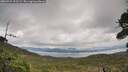 ./images/calvert/fitz-hugh-hecate/20260929/fitz-hugh-hecate20260929_122501M.jpg