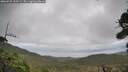 ./images/calvert/fitz-hugh-hecate/20260929/fitz-hugh-hecate20260929_130502M.jpg