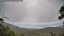 ./images/calvert/fitz-hugh-hecate/20260929/fitz-hugh-hecate20260929_131001M.jpg
