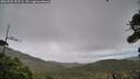 ./images/calvert/fitz-hugh-hecate/20260929/fitz-hugh-hecate20260929_131502M.jpg